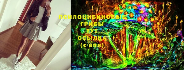 мдпв Володарск