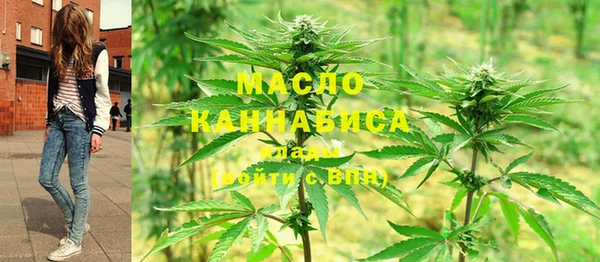 МДПВ Вяземский