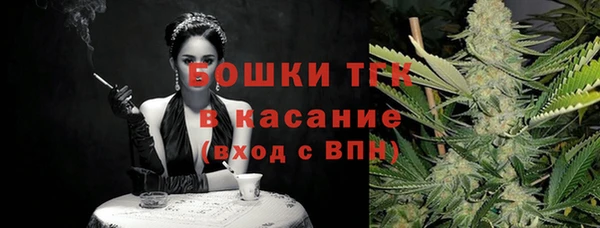 МДПВ Вяземский