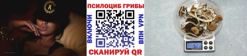 ссылка на мегу онион Ершов Галлюциногенные грибы мицелий