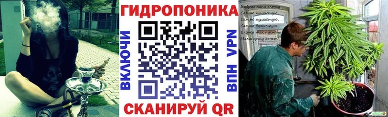 купить   Ершов  hydra tor  Конопля Amnesia 